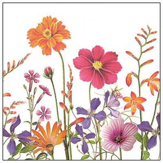 SERVIETTES JARDIN BOTANIQUE ATELIER 33X33CM 20PCS