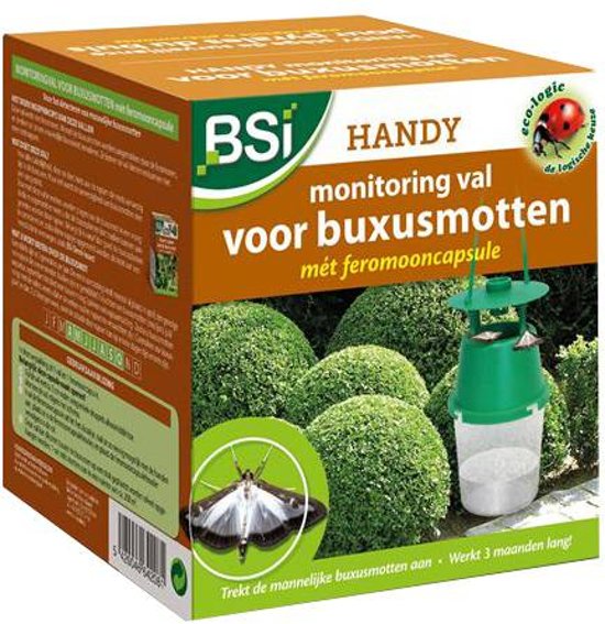 HANDY FEROMOONVAL BUXUSMOT