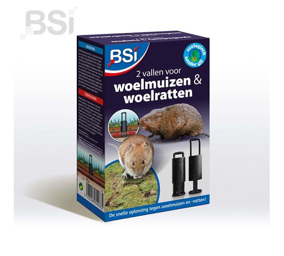 BSI WOELMUISVAL 2 ST.