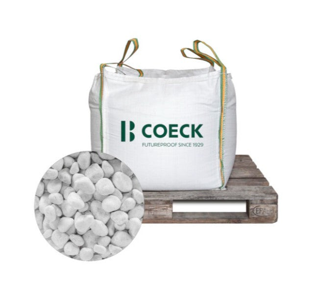 COE00544