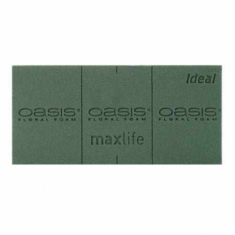IDEAL HOBBY OASIS 23X11H8CM