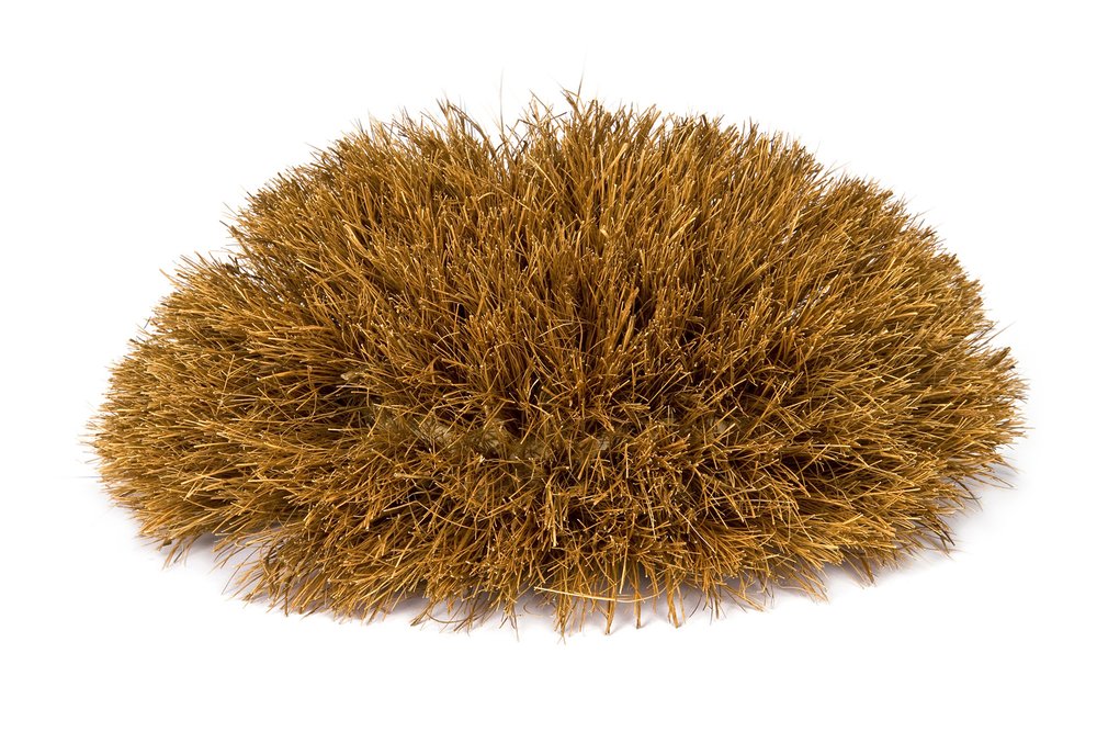 DIAPOSITIVE COBOB 115 COCO