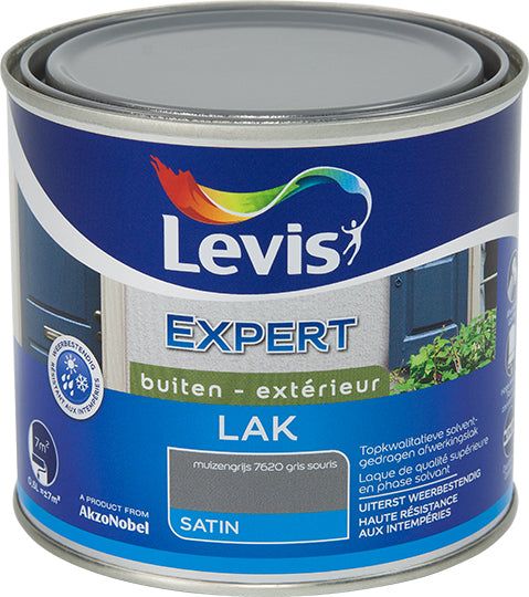 LV EXPERT LAQUE BOIS EXTÉRIEUR SATINÉ 0,5L GRIS SOURIS