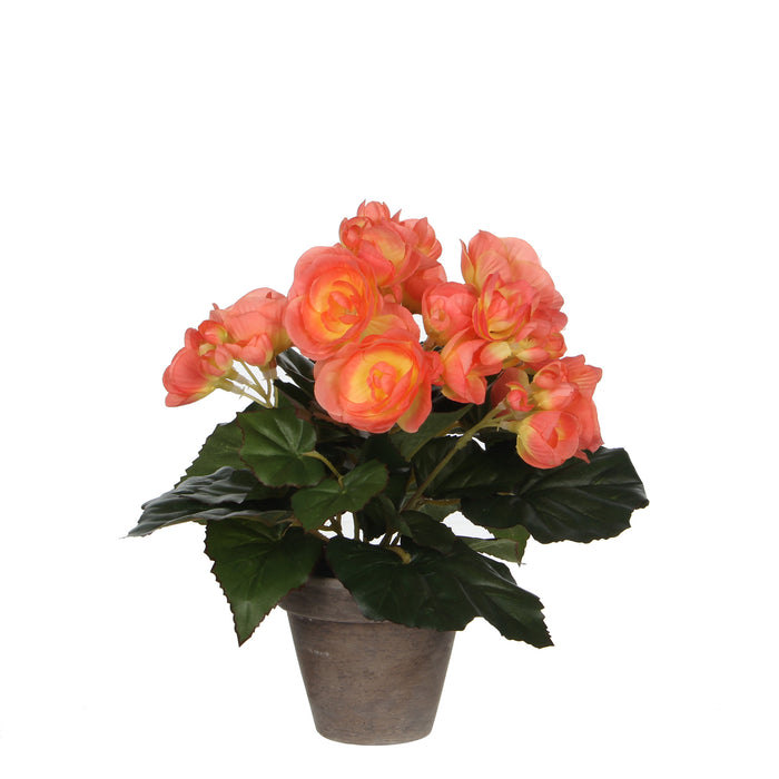 MD - PLANTE ARTIFICIELLE BEGONIA SUR POT DE FLEURS - H25 X Ø20 CM - ROSE SAUMON