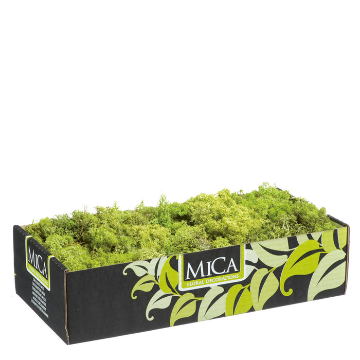 RENDIERMOS L.GROEN 500GR