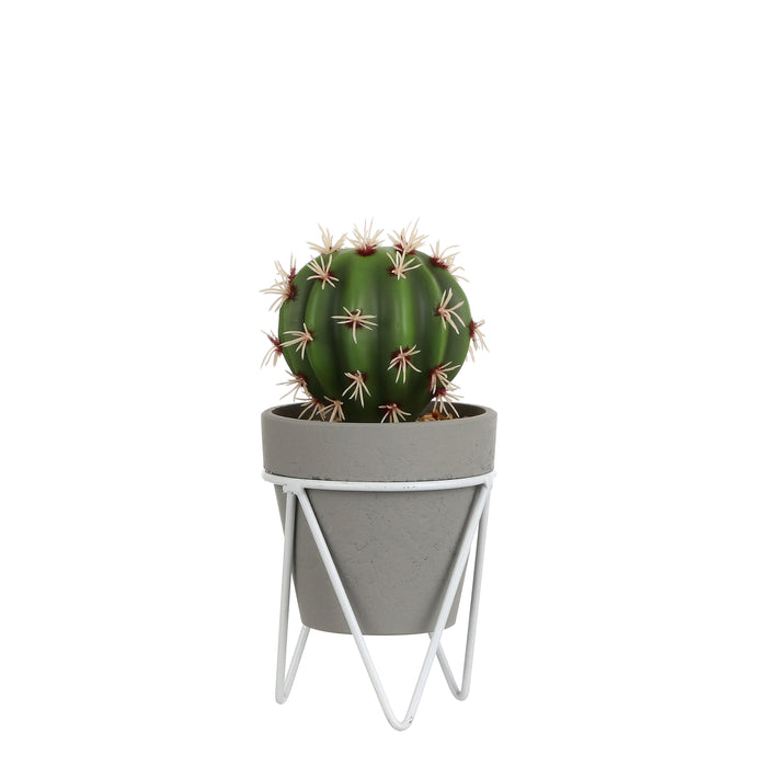 Cactus en pot vert - h21,5xd10,5cm