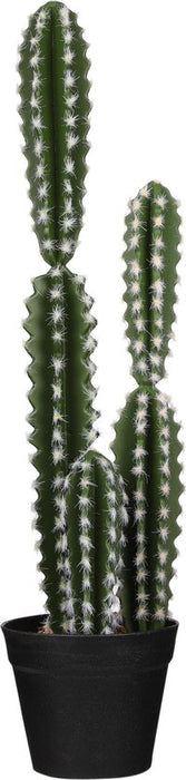 Cactus en pot vert - h51xd13.5cm