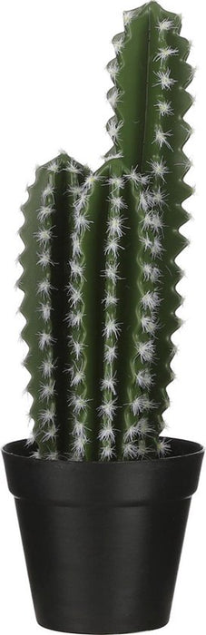 Cactus en pot vert - h38xd12.5cm