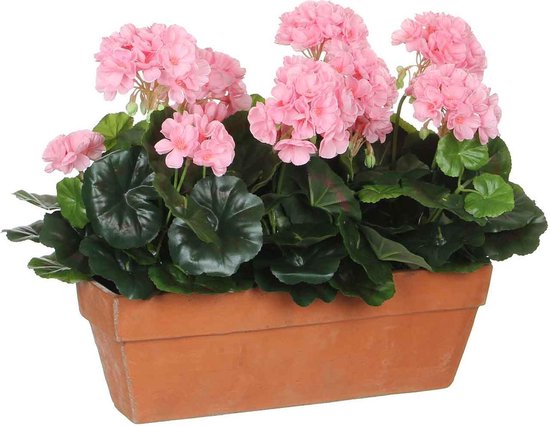 GÉRANIUM ROSE DANS BALCON TERRA - L39XW13XH40CM