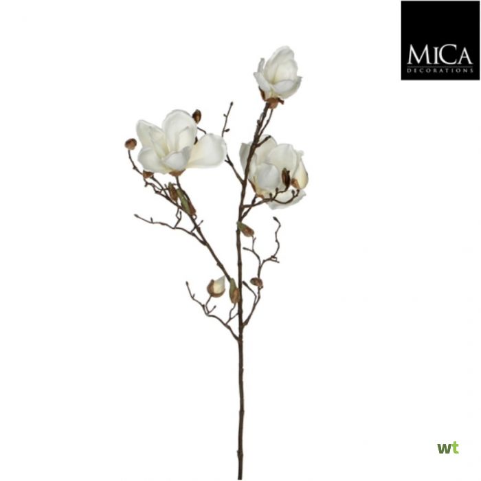 MAGNOLIA BLANC - L88CM