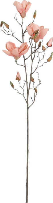 PÊCHE MAGNOLIA - L88CM