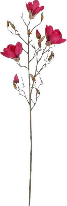 MAGNOLIA D. ROSE - L88CM