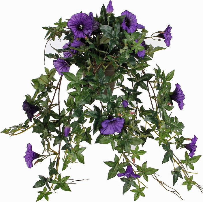 PETUNIA SUSPENSION D. VIOLET EN POT STAN GRIS D11.5CM - L50XW45XH25C