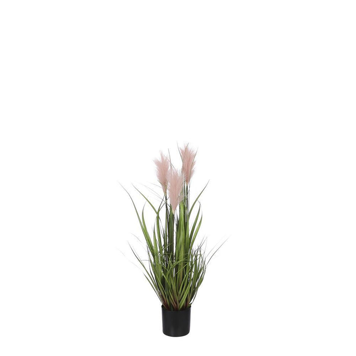 HERBE EFFILÉE EN POT ROSE - H80XD35CM