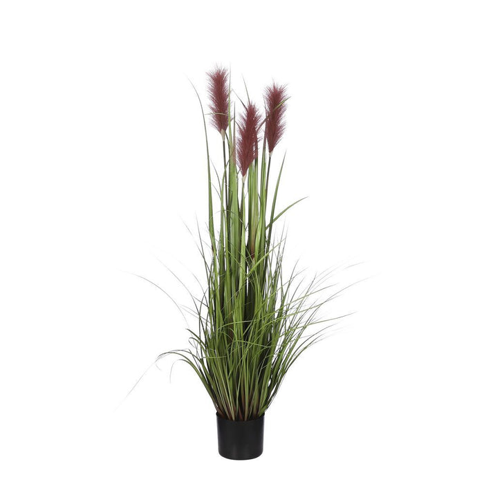 HERBE EFFILÉE EN POT BRUN - H120XD45CM