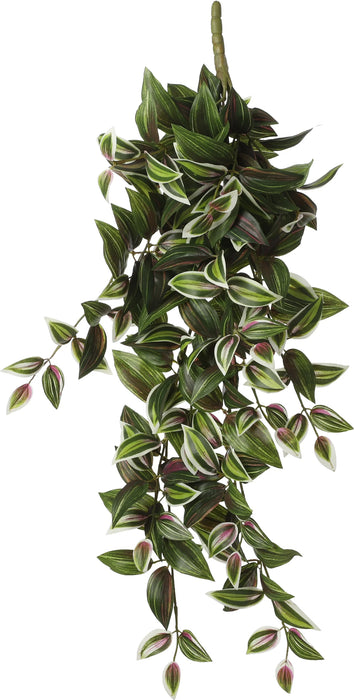 SUSPENSION TRADESCANTIA VERTE - L54XW20XH15CM