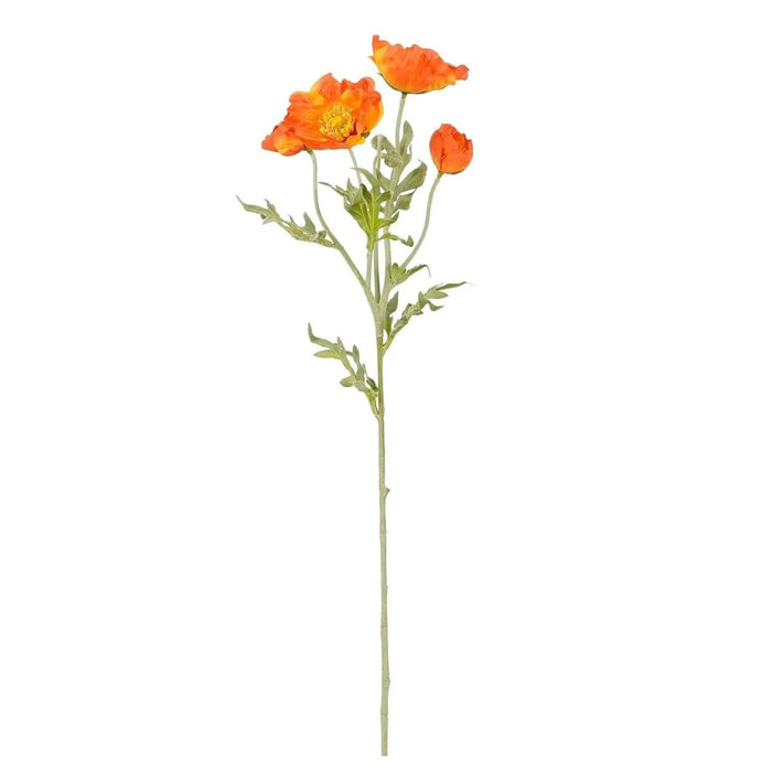 MD - COQUELICOT ORANGE - L62CM