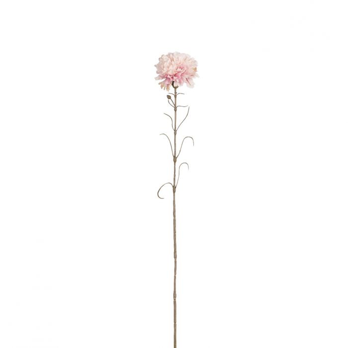 MD - ROSE ŒILLET - L66CM 127734 ROSE01