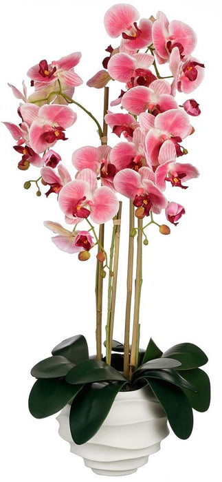 MD - PHALAENOPSIS EN POT ROSE - L40XW34XH82CM