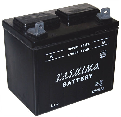 Batterij voor zitmaaiers 12V, 24A. L: 195,br: 130, H: 185mm, + li
