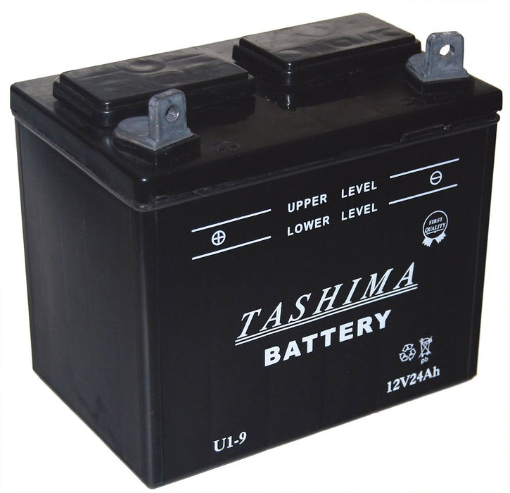 Batterie pour tondeuses autoportées 12V, 24A. L: 195, l: 130, H: 185mm, + l