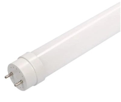 FEM02351