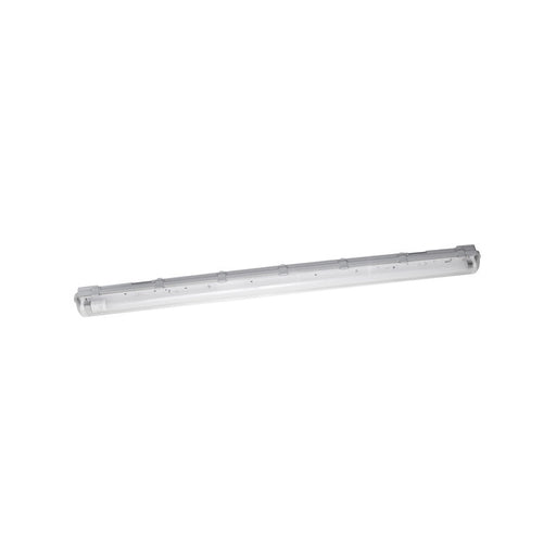 FEM02380