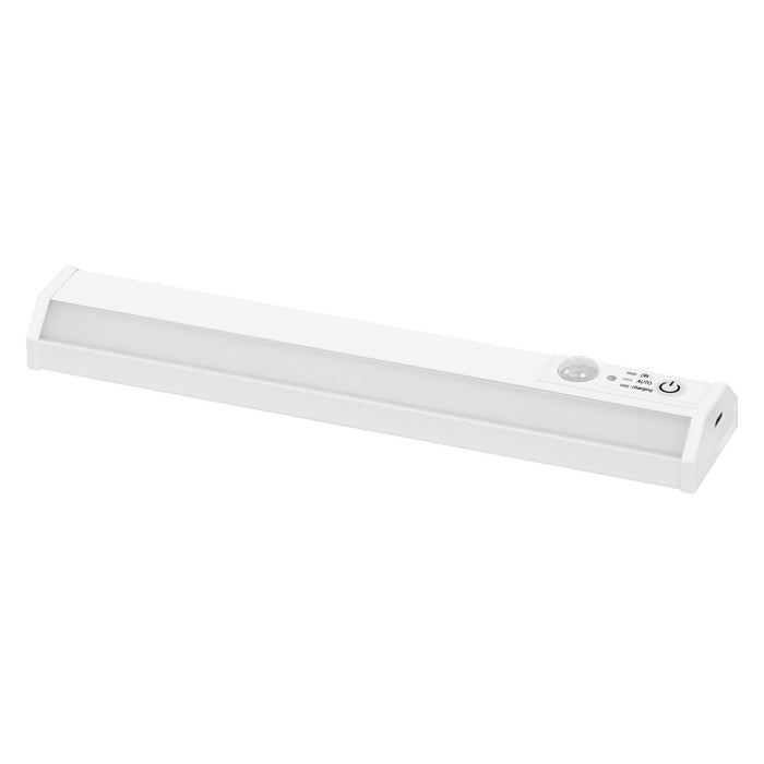 FEM02387