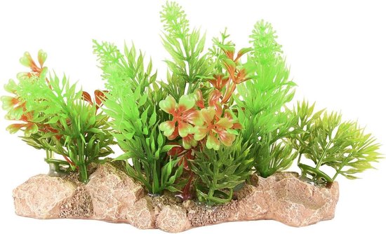 PLANTE D'AQUARIUM AD UMBRA 15X7X10CM