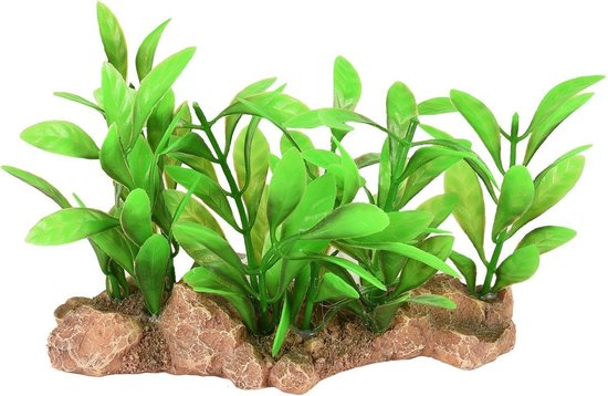 PLANTE D'AQUARIUM AD UMBRA 15X7X9CM