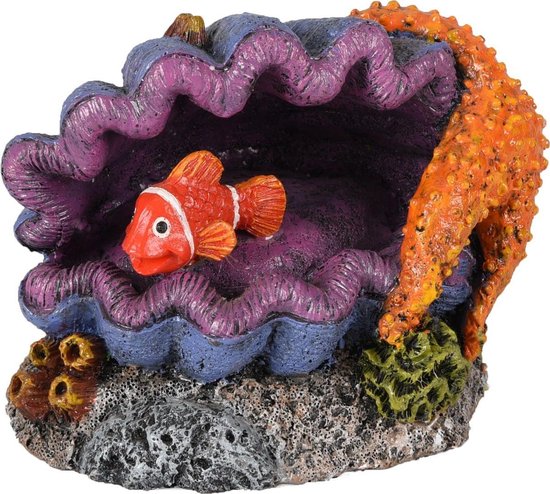 AD LETO COQUILLE+POISSON 12X8X9CM