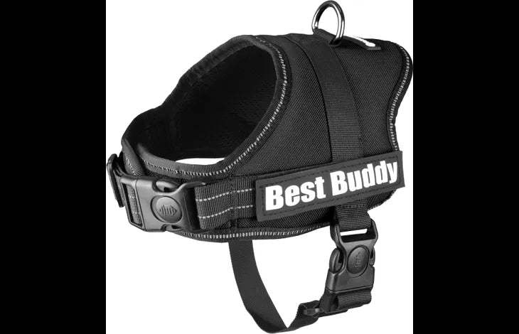 HARNAIS BEST BUDDY PLUTO NOIR XS 40-55CM 25MM