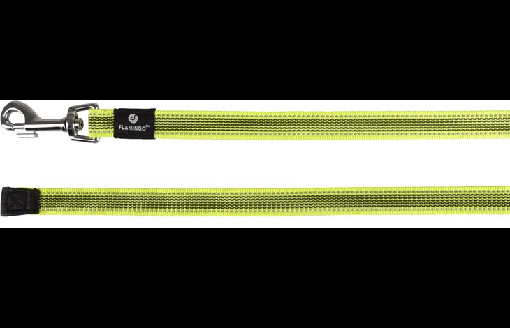 LIGNE FORMATION ET RECHERCHE XENO JAUNE FLUO 5M 20MM