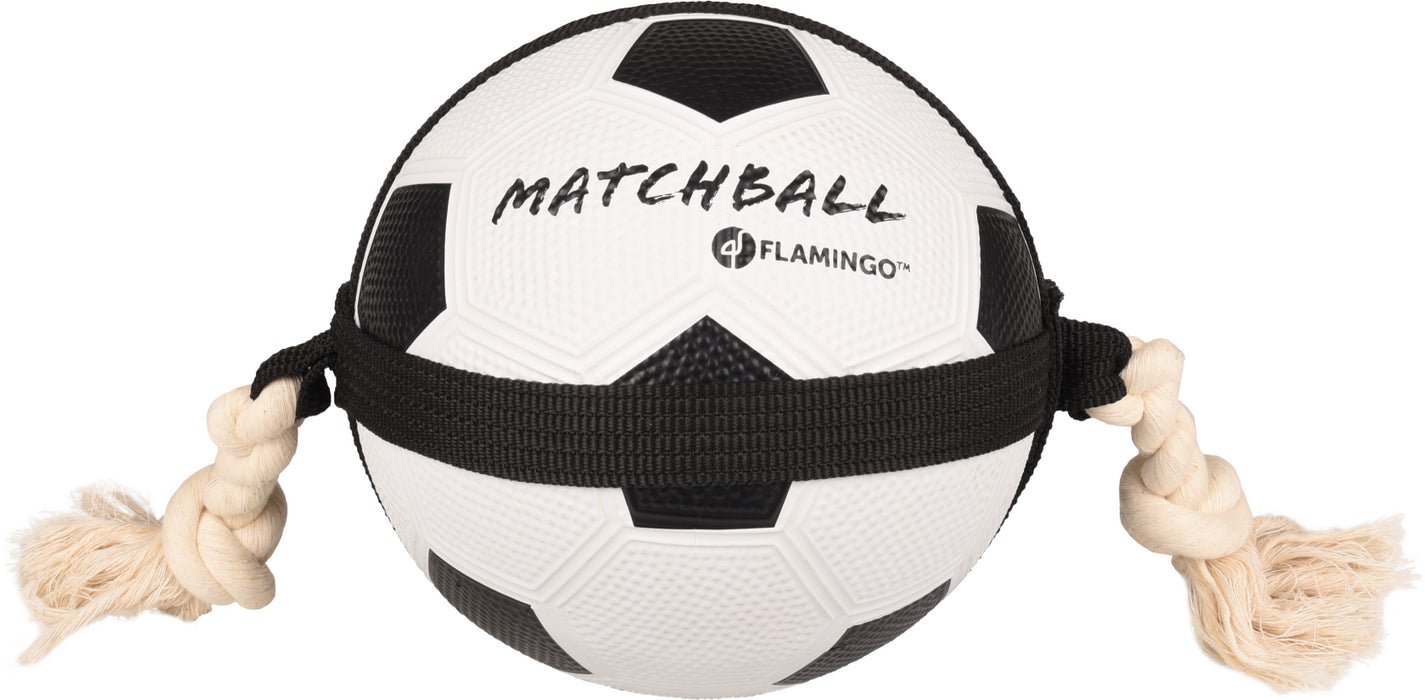 HS BALLON DE MATCHBALL 19CM