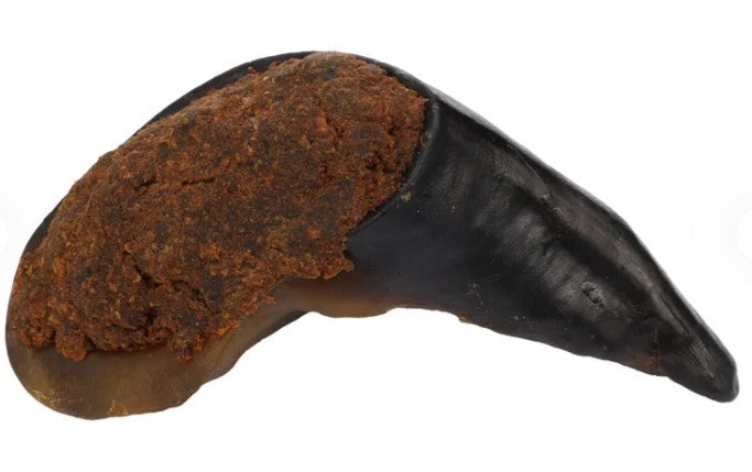 FLA05633