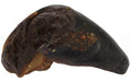 FLA05634