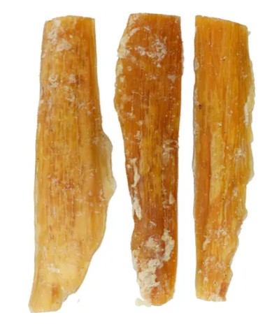 FLA05646