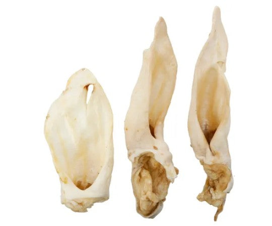 FLA05693