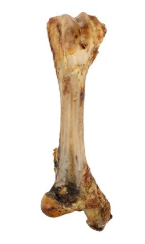 FLA05694