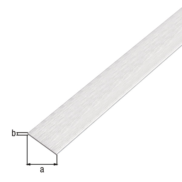 pl,stang,zelfk,ALU,rvs-opt,licht,20x2/2m