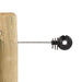 GLL00237