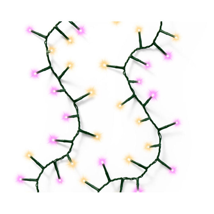 LAMPES COMPACTES LED 2250CM-1000L VERT/ROSE/CLASSIQUE CHAUD