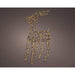 KAE07669