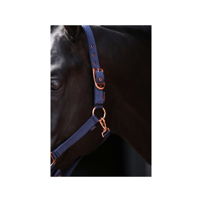 HALT CLASSY, PONEY TAILLE MARINE