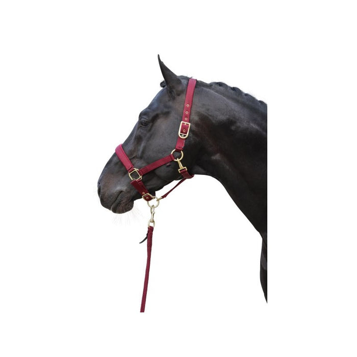 HALT CLASSY, TAILLE MERLOT COB