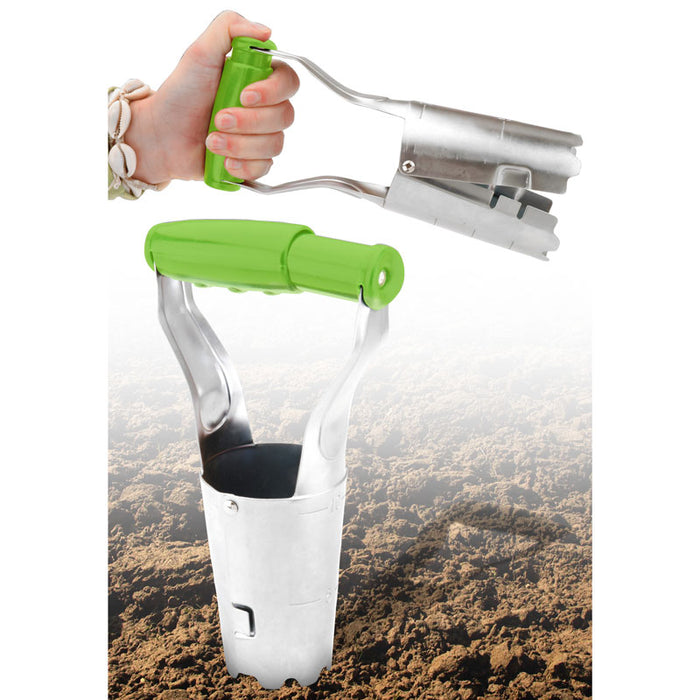 BOLLENPLANTER (F04/17)