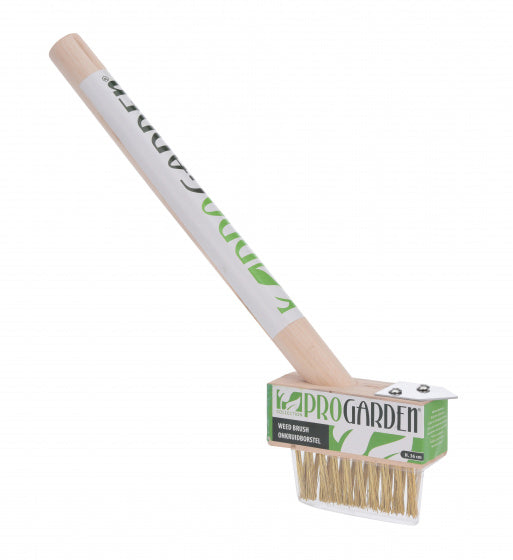 BROSSE À HERBES AVEC MANCHE 36CM(F04/17)