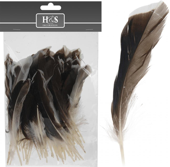 PLUMES NATURELLES PETITES 13CM 50PCS