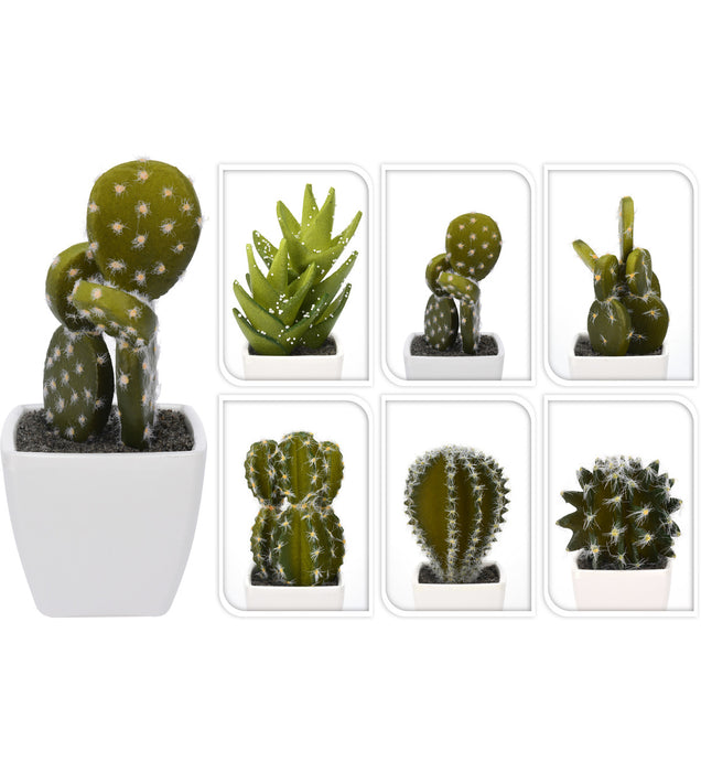 CACTUS EN POT BLANC 115MM 6ASS