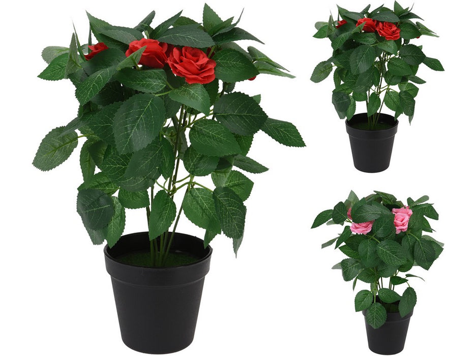 PLANTE EN POT DIA11XH30CM